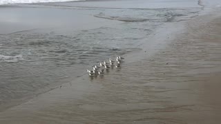 January 27 Walk on the Beach