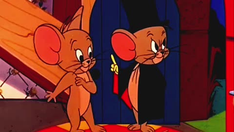 Tom Jerry cartoons funny show