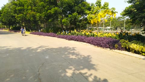 Kanha Shanthi vanam flower garden