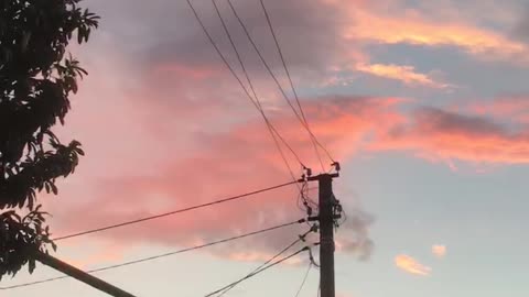 Pink clouds