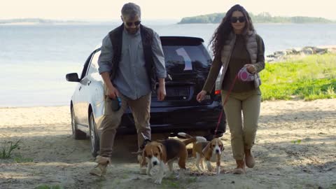 Couple of tourists closing car trunk and walking with playful beagle dogs towards the camera