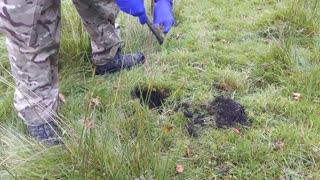 Digging a cat hole in Dartmoor