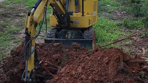 7-Year-Old Helps Dad Plant Trees With Mini Excavator