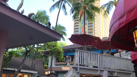 Hawaiian Local Crowd, CJ's Deli and Rainbow Tower at Hilton Hawaiian Village