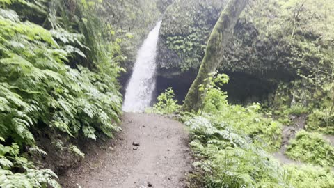 Arriving at Upper Latourell Falls Zone – Columbia River Gorge National Scenic Area – Oregon – 4K