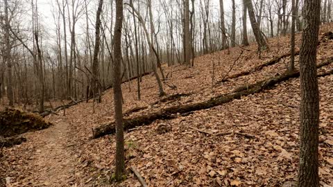 Hiking Liberty Mountain Psycho Trail in Lynchburg Virginia Part 4, March 2022