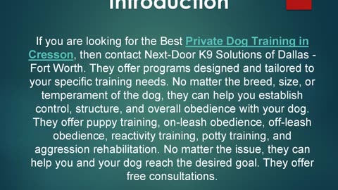Best Private Dog Training in Cresson