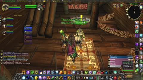 World of Warcraft Burning Crusade Classic Shaman Cow Training on pvp server