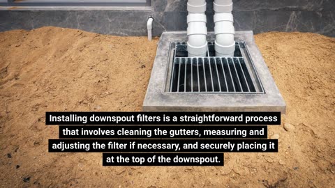 What is a Downspout Filter?