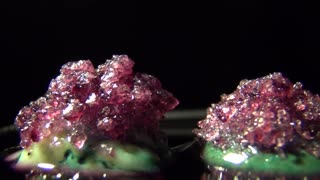 Wow - Time Lapse Video of Crystals Growing
