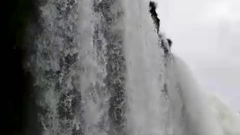 Perto das Cataratas do Iguaçu - Iguaçu Falls