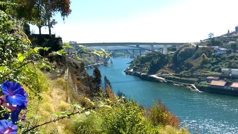 The Dom Luís I bridge in Porto Portugal