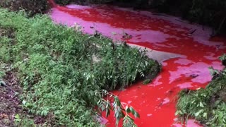 Scary Looking Chemical Spill in Georgia