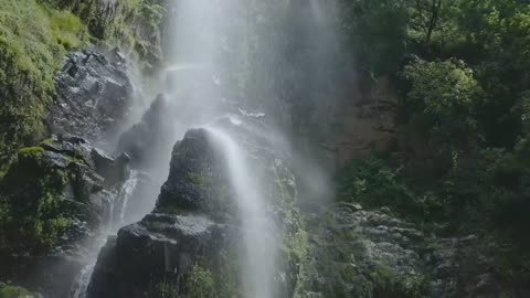 Waterfall in forest