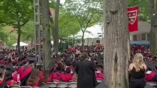 Havard university walk out