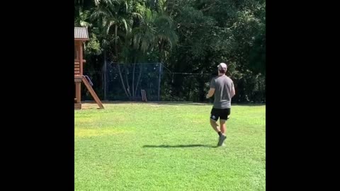 Cricketers Playing Cricket at home Steve Smith,Shikhar Dhawan,Rashid Khan.