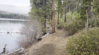 Hiking the Shoreline Trail of Suttle Lake – Central Oregon – 4K