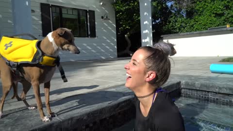 Teaching the dogs how to swim with dog life vests