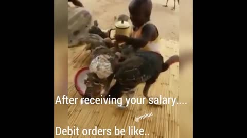 Direng Di Debit Order Mo Ngwneng