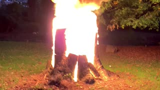 Burning my tree stump