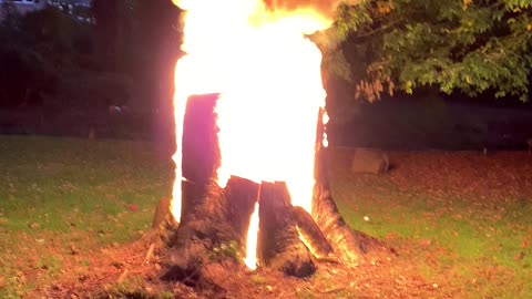 Burning my tree stump