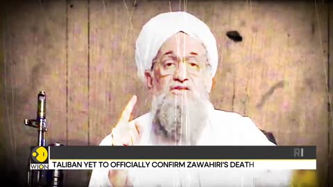 White House: US has no DNA on Zawahiri | Taliban yet to confirm death | Latest World News |