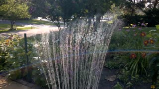 Summer Garden Sprinkler