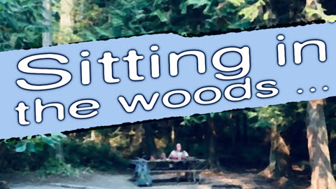 Sitting in the woods ...