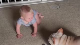 French Bulldog Playing With Baby Sister
