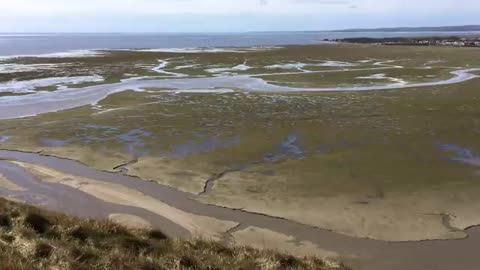 Time lapse video of river amazon