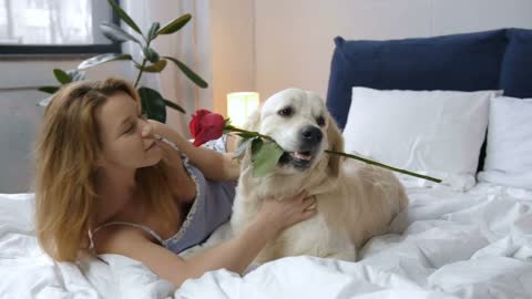 Smiling female lying with retriever pet on bed and caressing true friend in domestic bedroom.