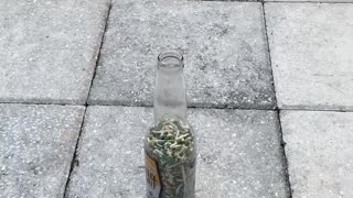 Glass Bottle Match Experiment Ends in Flames