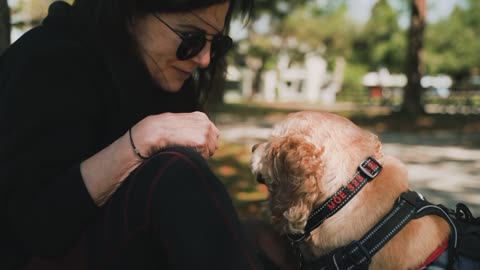 Puppies, Joyful Companions ❣️