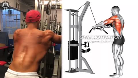 6 Fastest Big Back Exercises