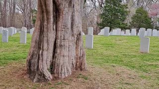 Fort Donelson Tennessee Nat'l Battlefield Cemetery. 1867