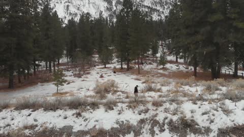 Winter Walk at Mount Charleston