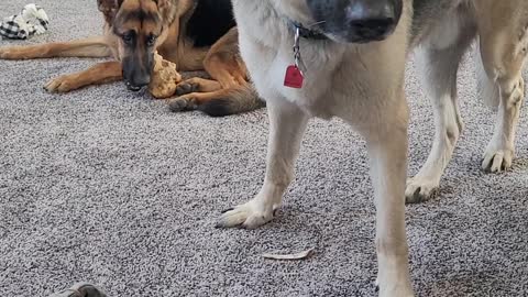 Kai has stolen Zeus bone