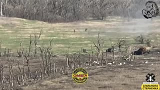 🚀🇺🇦 Ukraine Russia War | Ukrainian FPV Drones Target Russian Soldiers Near Destroyed Vehicle | | RCF