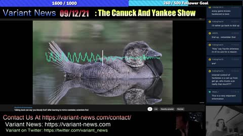 Canuck & Yankee Show 9/12/21