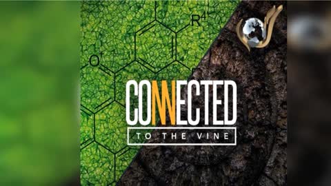 Connected To The Vine by Evangelist Nathan Morris - Sermon Preview