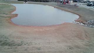 The Pond