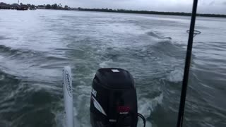 Dolphins riding our wake