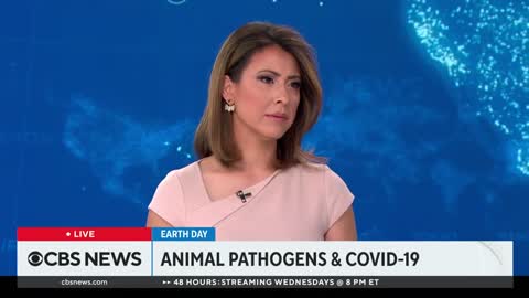 Examining how animal pathogens affect humans