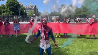 Anti-Israel protester releases smoke outside the White House