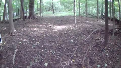 Shooting The Beretta M9 22LR Out In The Woods