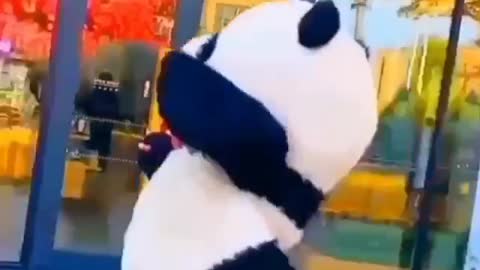 Panda running