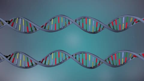 DNA replication - 3D