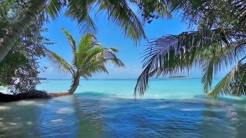 Ocean Ambience on a Tropical Island (Maldives) with Soothing Waves & Paradise View for Relaxation.