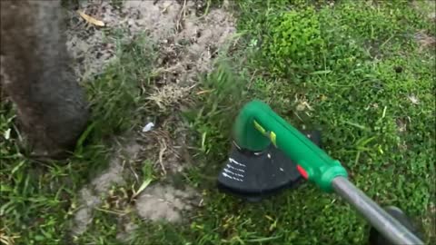 Weed Eater Grass Trimmer