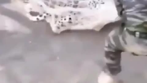LEOPARD ATTACK DURING RESCUE